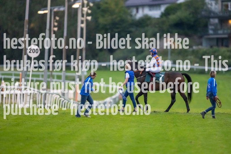 20230907-195245-DSC_3458