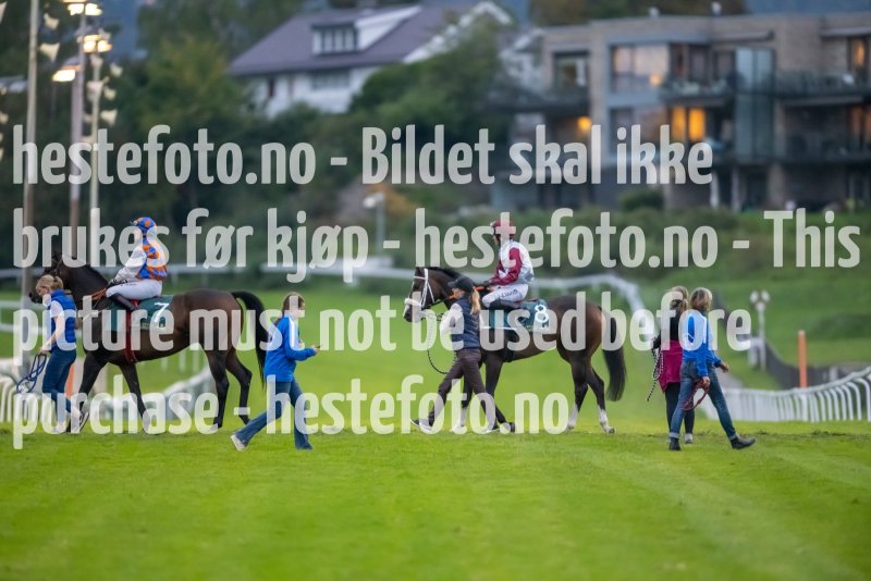 20230907-195247-DSC_3470