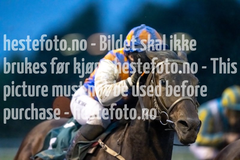 20230907-195911-DSC_3621