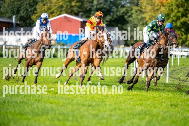 20231001-125336-DSC_8388