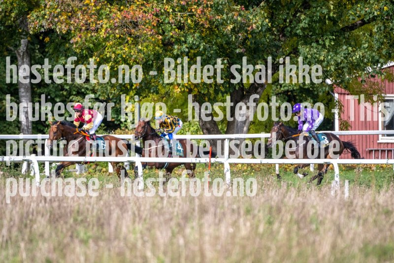 20231001-133915-DSC_8648
