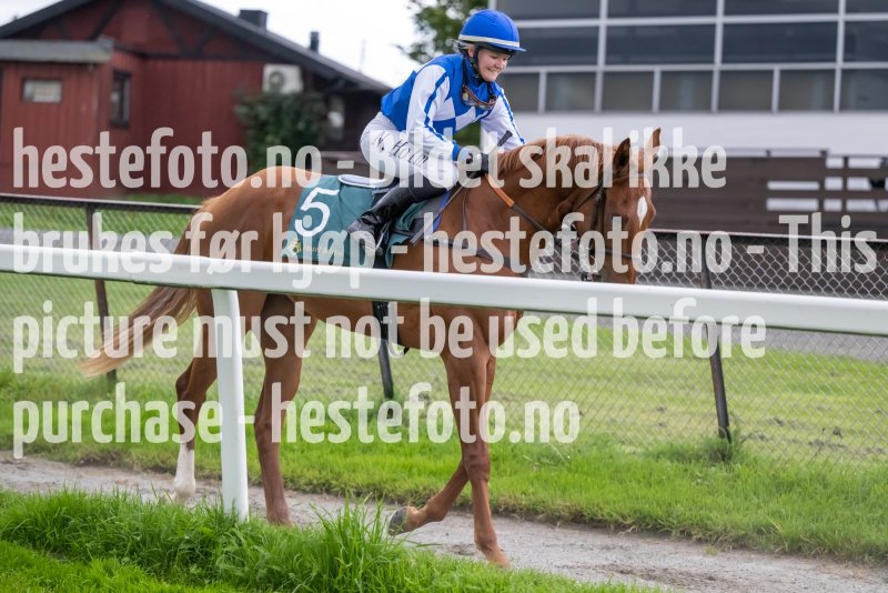 20230914-184440-DSC_7322