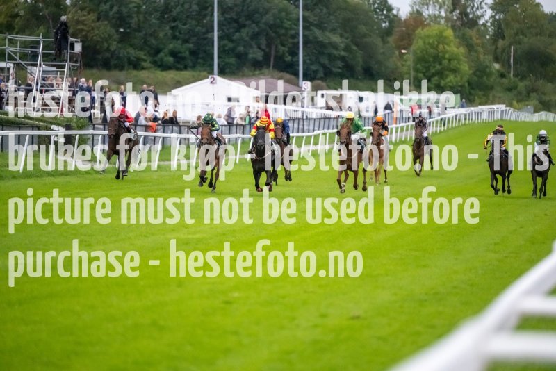 20230914-191135-DSC_7692