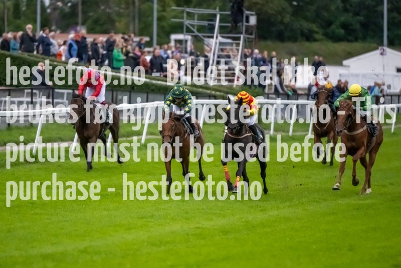 20230914-191136-DSC_7712