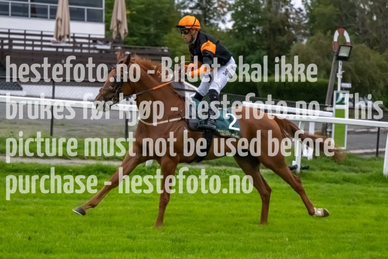20230914-191143-DSC_7799