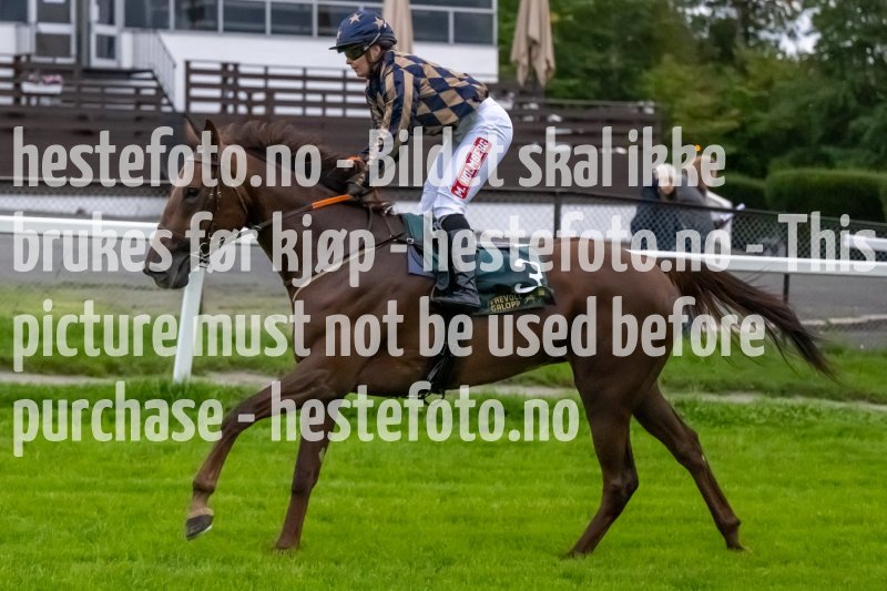 20230914-191144-DSC_7821
