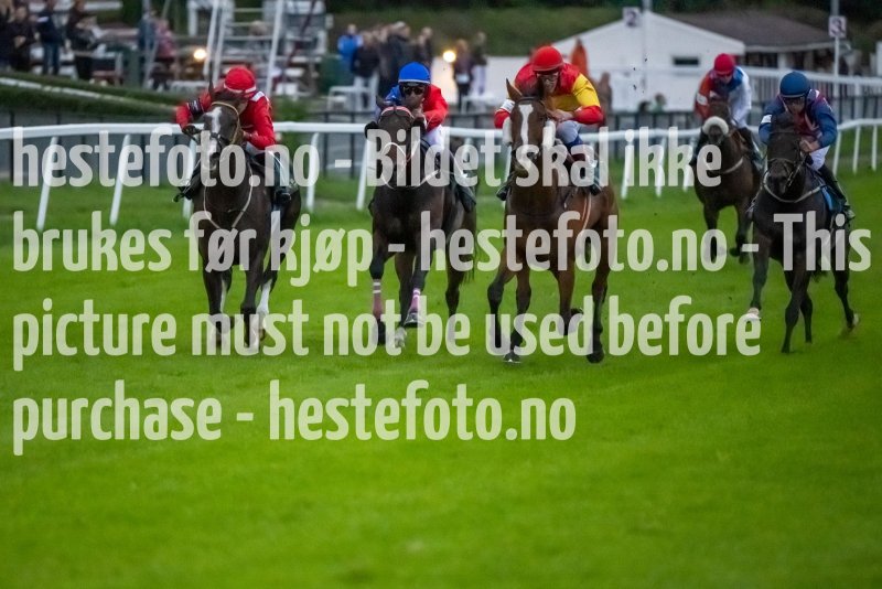 20230914-193132-DSC_8360