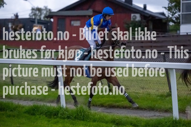 20230914-193241-DSC_8489