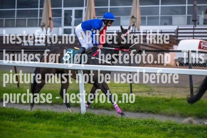 20230914-193248-DSC_8552
