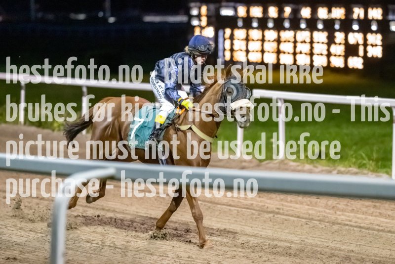 20230914-201617-DSC_9421
