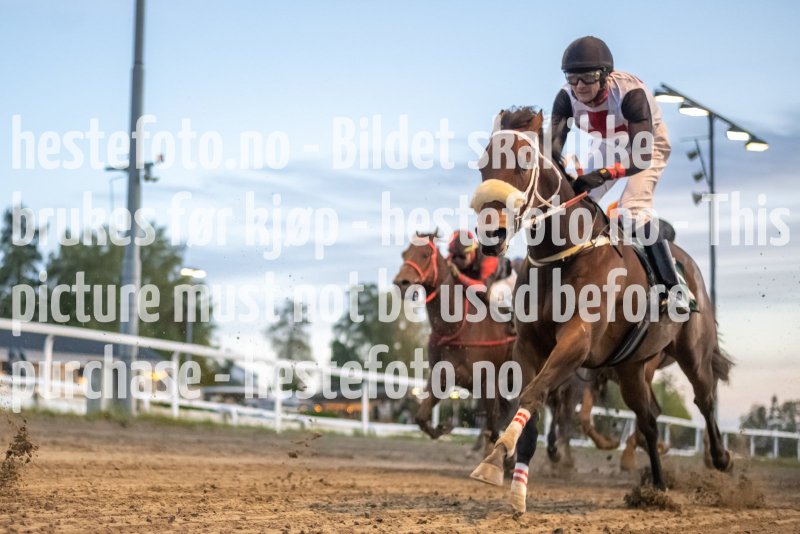 20231005-183707-DSC8708
