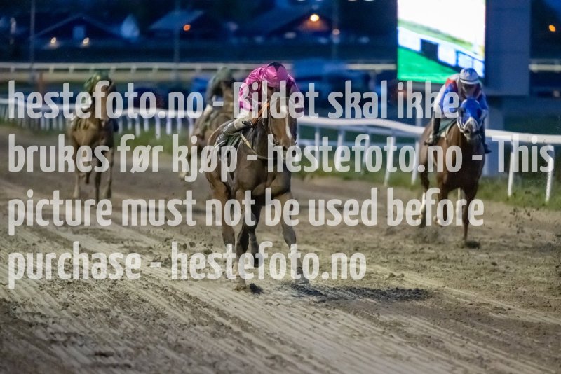 20231005-190228-DSC_0704