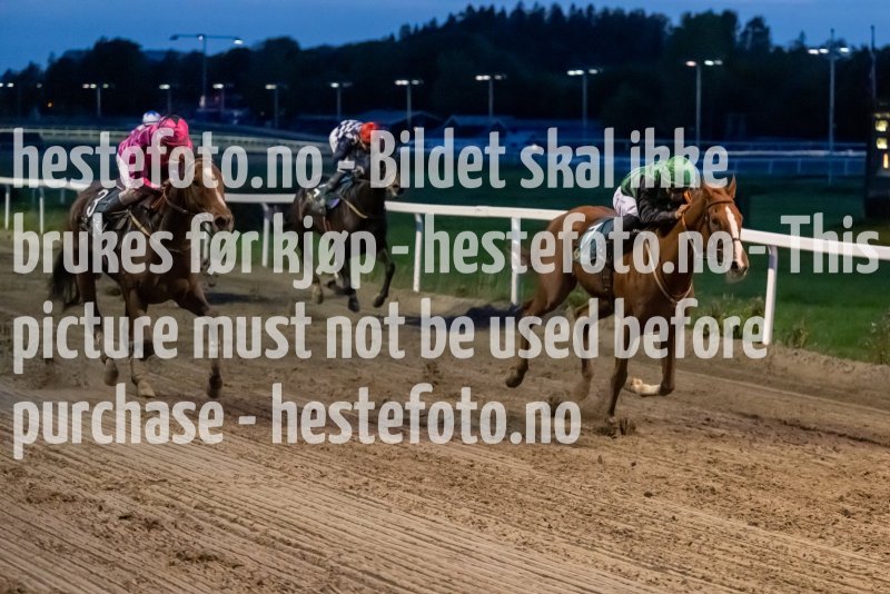 20231005-190229-DSC_0727