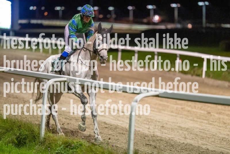 20231005-194512-DSC_1226