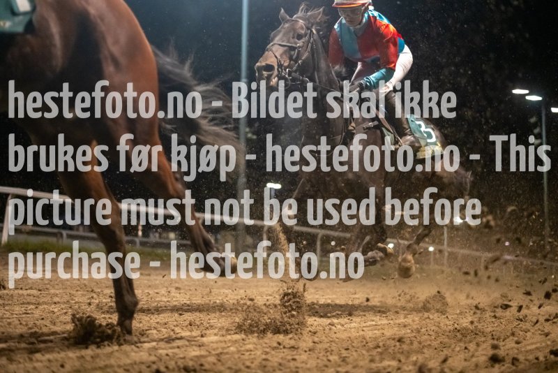 20231005-195206-DSC8845