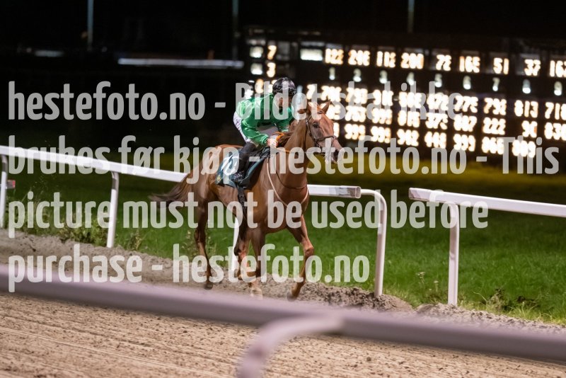20231005-203612-DSC_2360