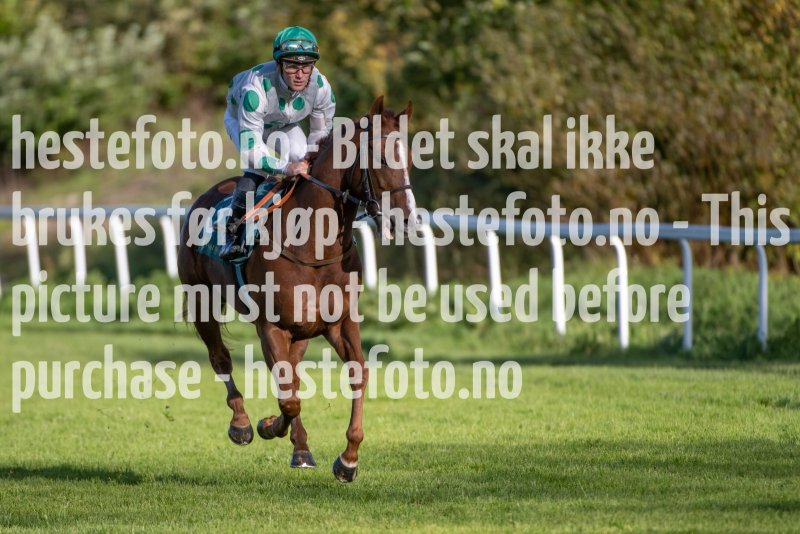 20231011-142523-DSC_4006