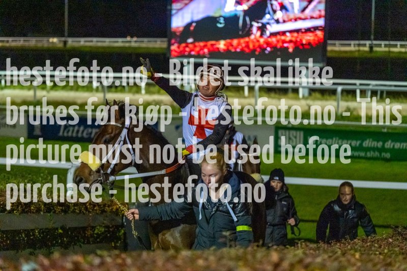 20231019-201417-DSC_4453