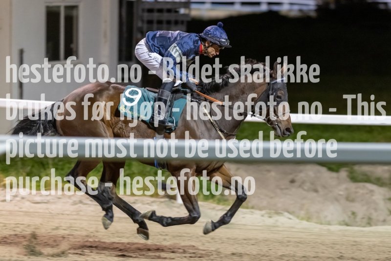 20231019-202542-DSC_4011