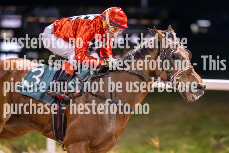 20231026-181855-DSC_6983