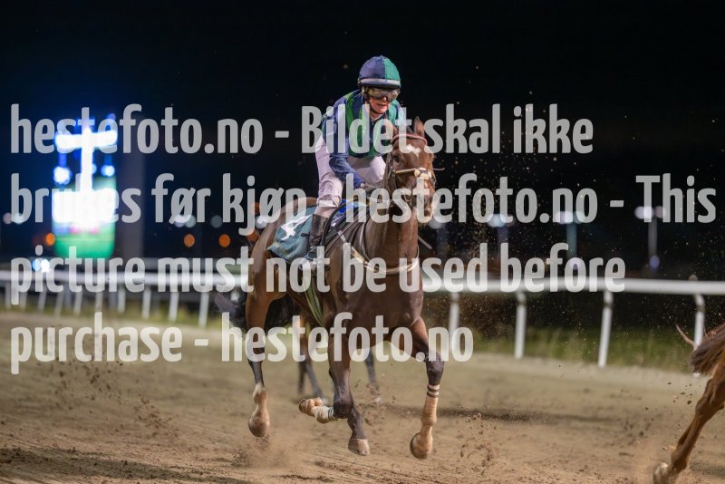 20231026-193923-DSC_7911