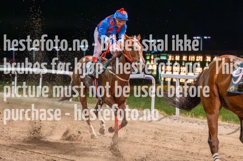 20231026-193944-DSC_5516