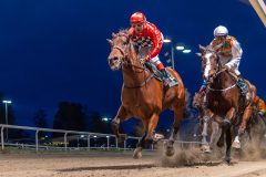 20231026-180635-YNE00075