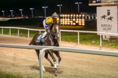 20231026-195834-DSC_5647