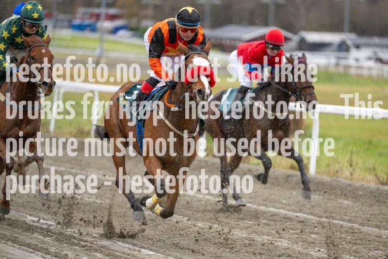 20231105-132326-DSC_0962-2