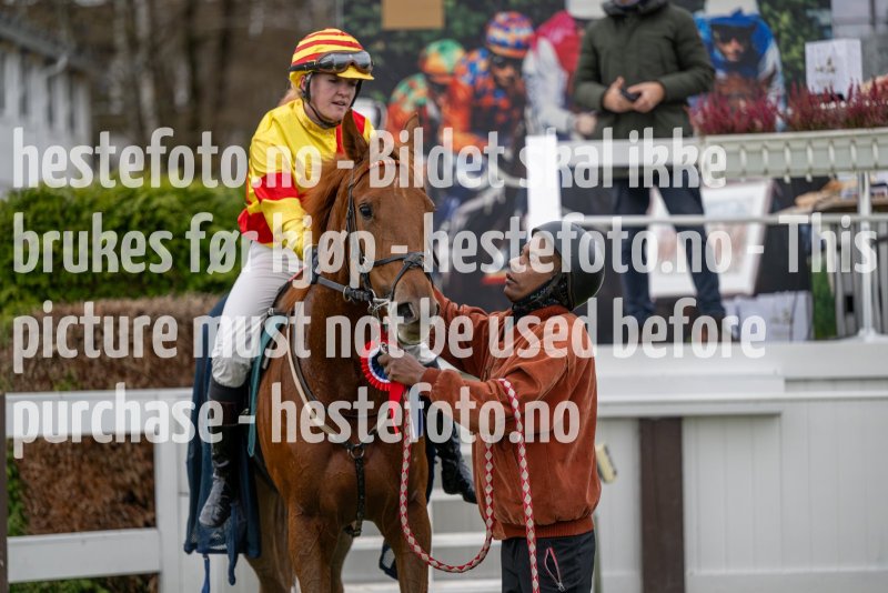 20231105-133045-DSC_1330-2