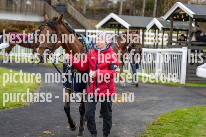 20231105-133614-DSC_1684-2