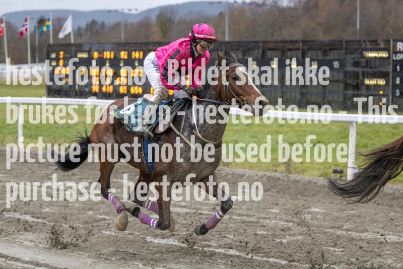 20231105-134851-DSC_2151-2