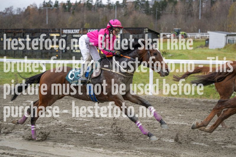 20231105-134851-DSC_2155-2
