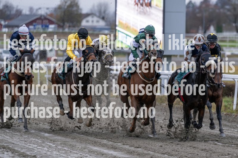 20231105-141406-DSC_3031-2