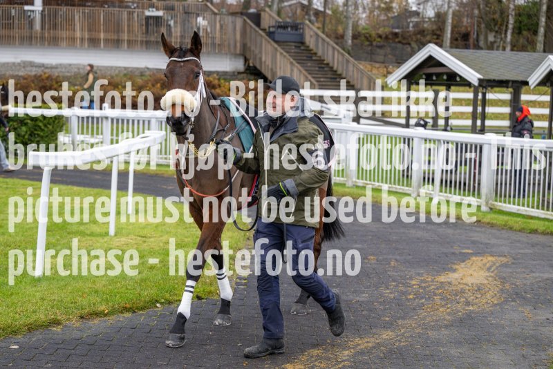 20231105-142253-DSC_3299