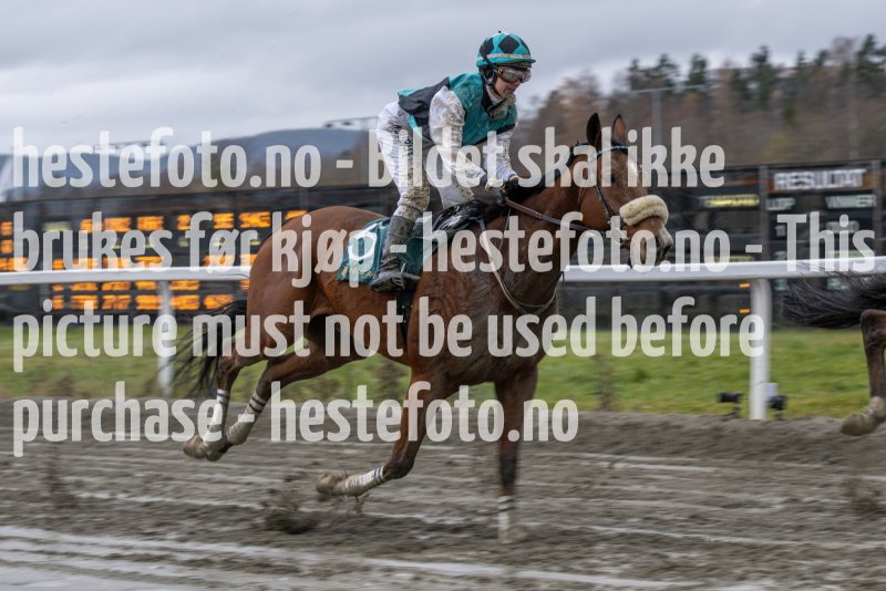 20231105-150236-DSC_5539-2