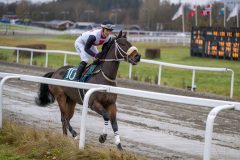20231105-143207-DSC_3877