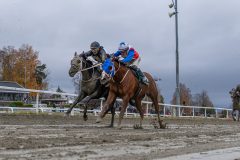 20231105-151946-YNE00458