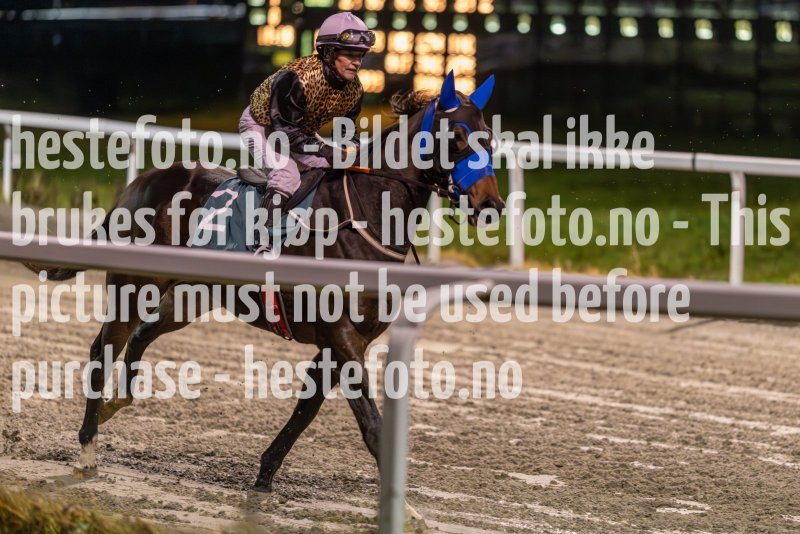 20231109-191821-DSC_8611