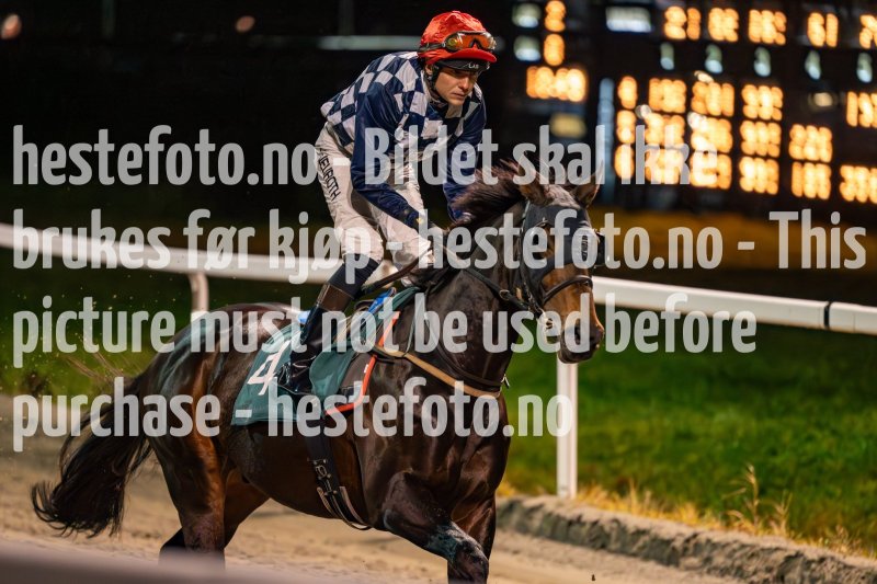 20231109-194931-DSC_6229