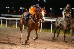20231109-193446-DSC_6042