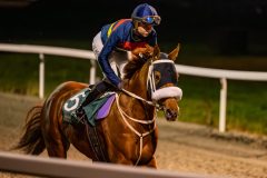20231109-202241-DSC_6346