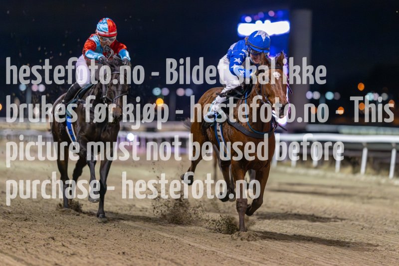 20231116-182830-DSC_3907