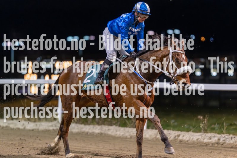 20231116-182833-DSC_3962