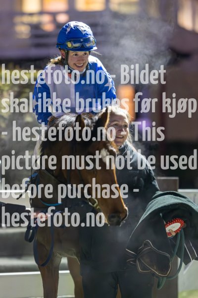 20231116-183215-DSC_4103