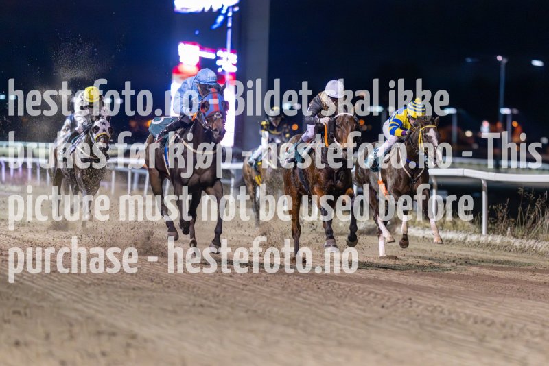 20231116-191750-DSC_4782