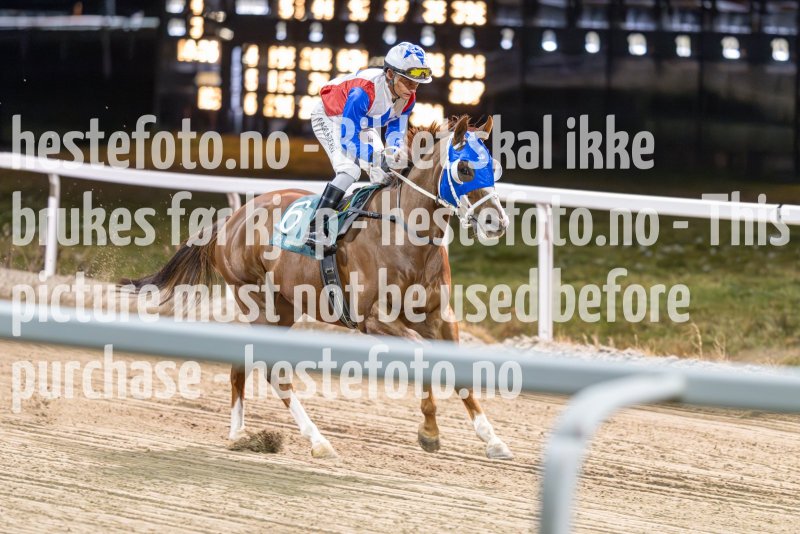 20231116-193624-DSC_4873