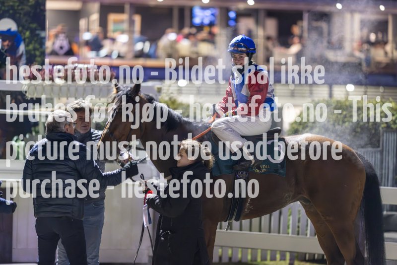20231116-203941-DSC_5827