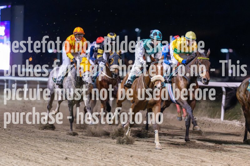 20231116-210009-DSC_6309