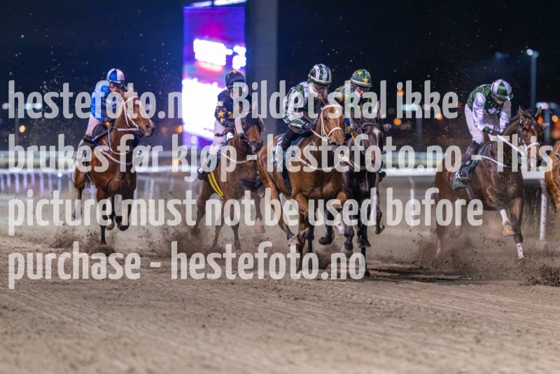 20231116-212623-DSC_6580